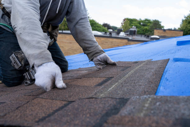 Best Shingle Roofing Installation  in Merrionette Park, IL
